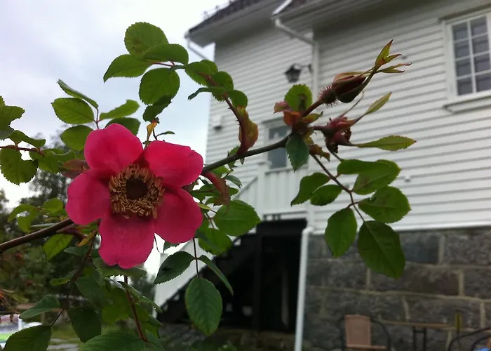 Arctic Garden