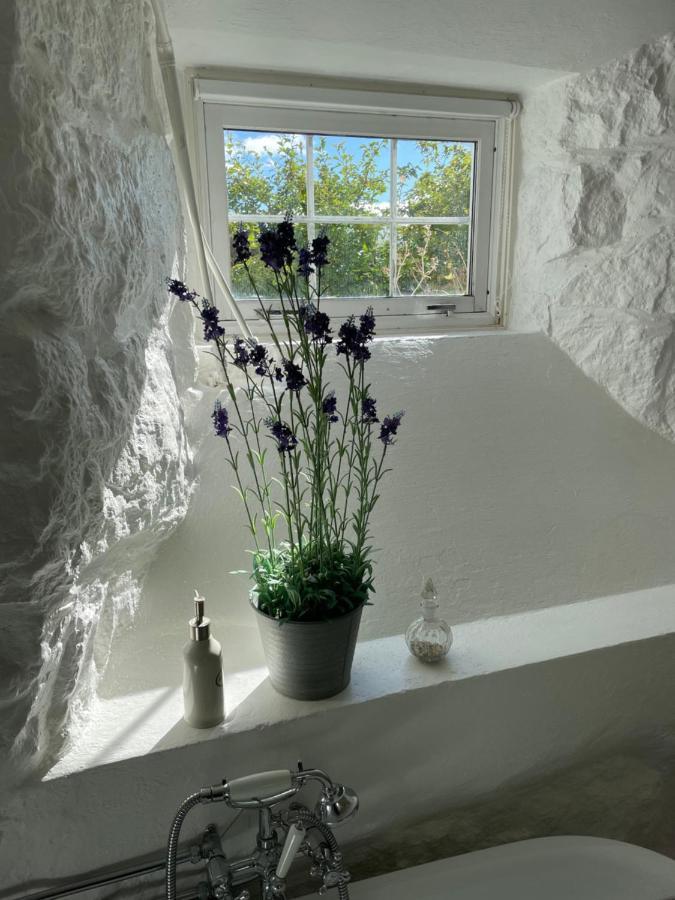 Arctic Garden Guest house *