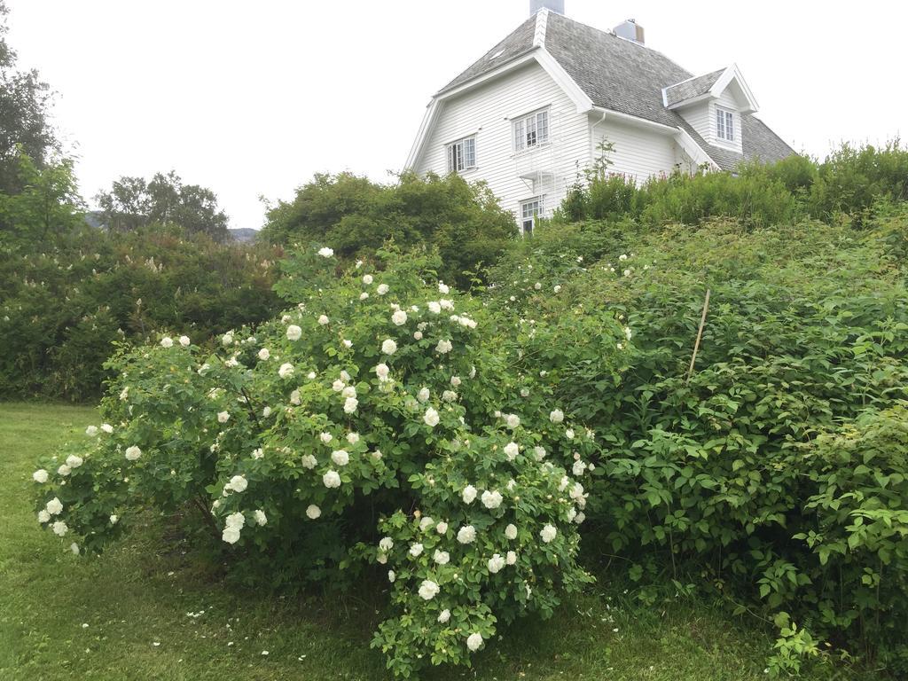 Guest house Arctic Garden *