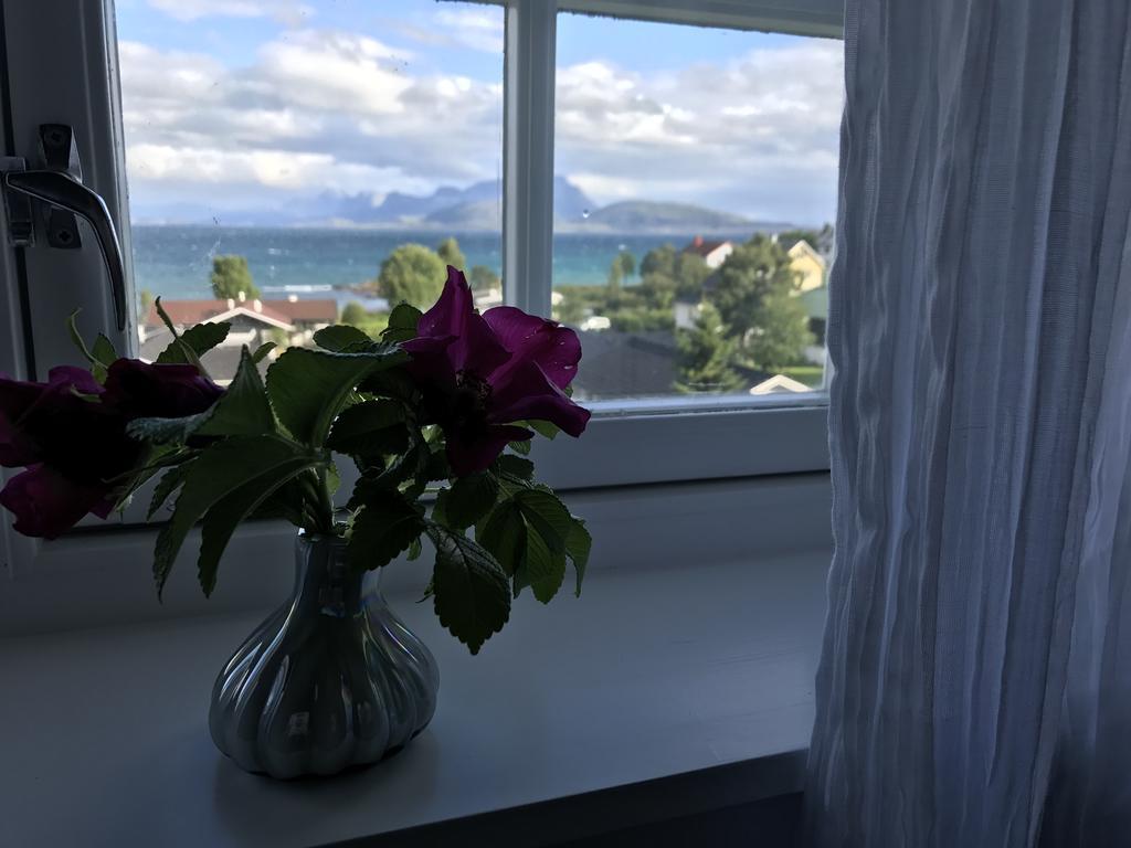 Arctic Garden Guest house
