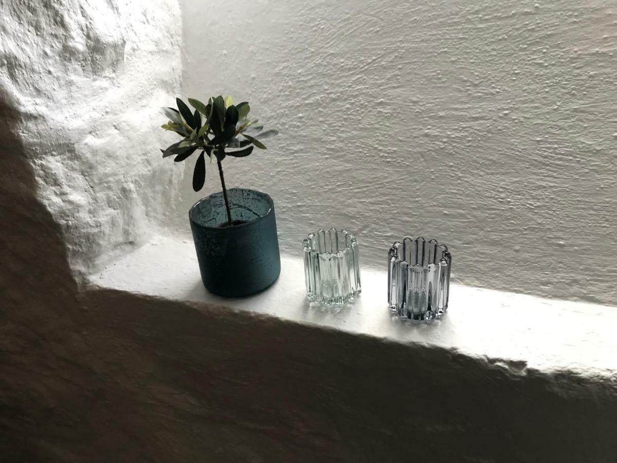 Arctic Garden