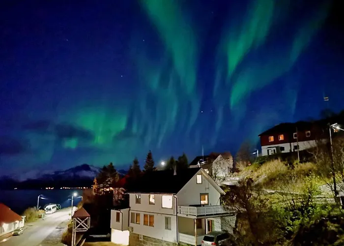 Arctic Garden