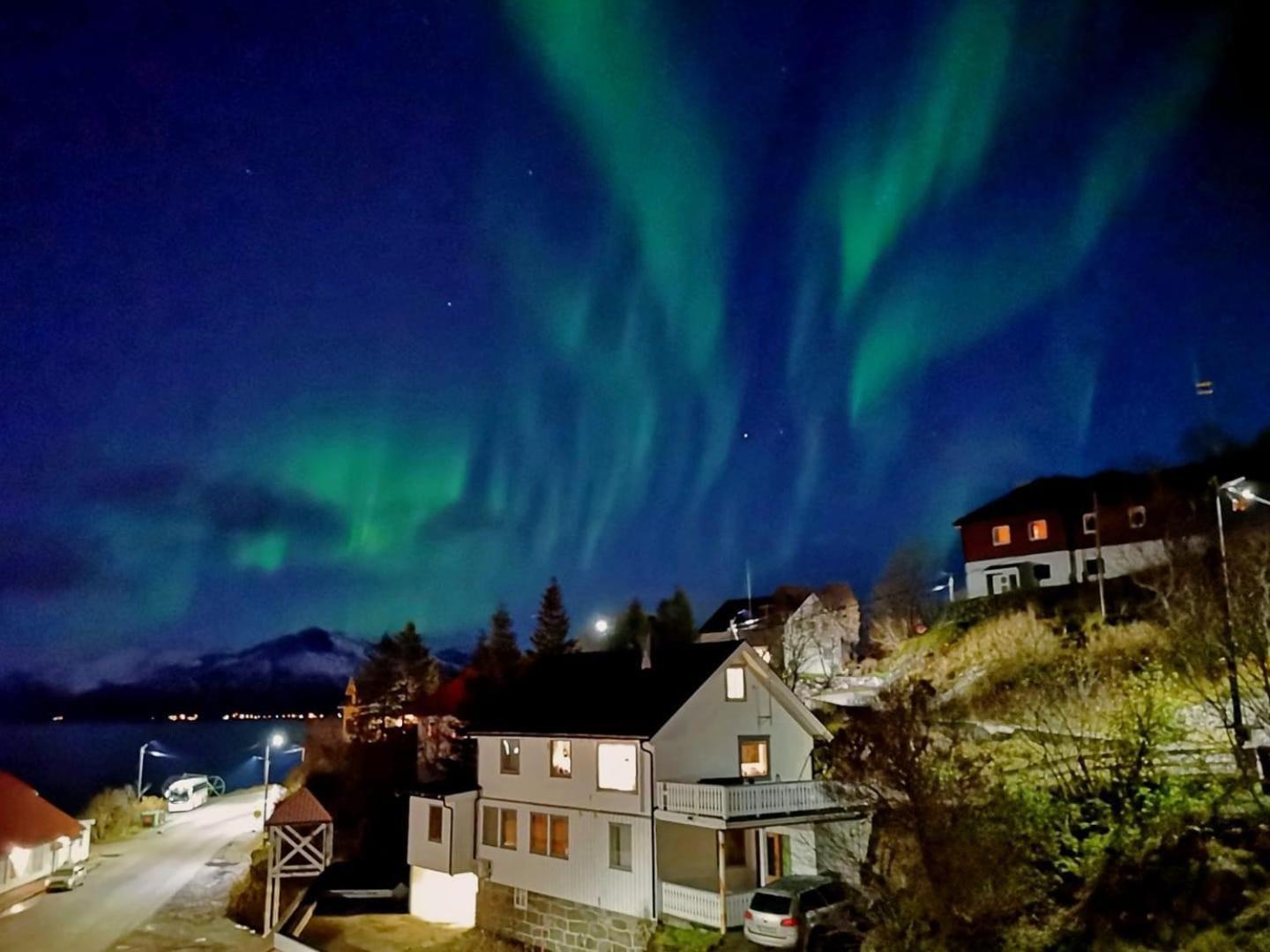 Arctic Garden Pensionat Lodingen