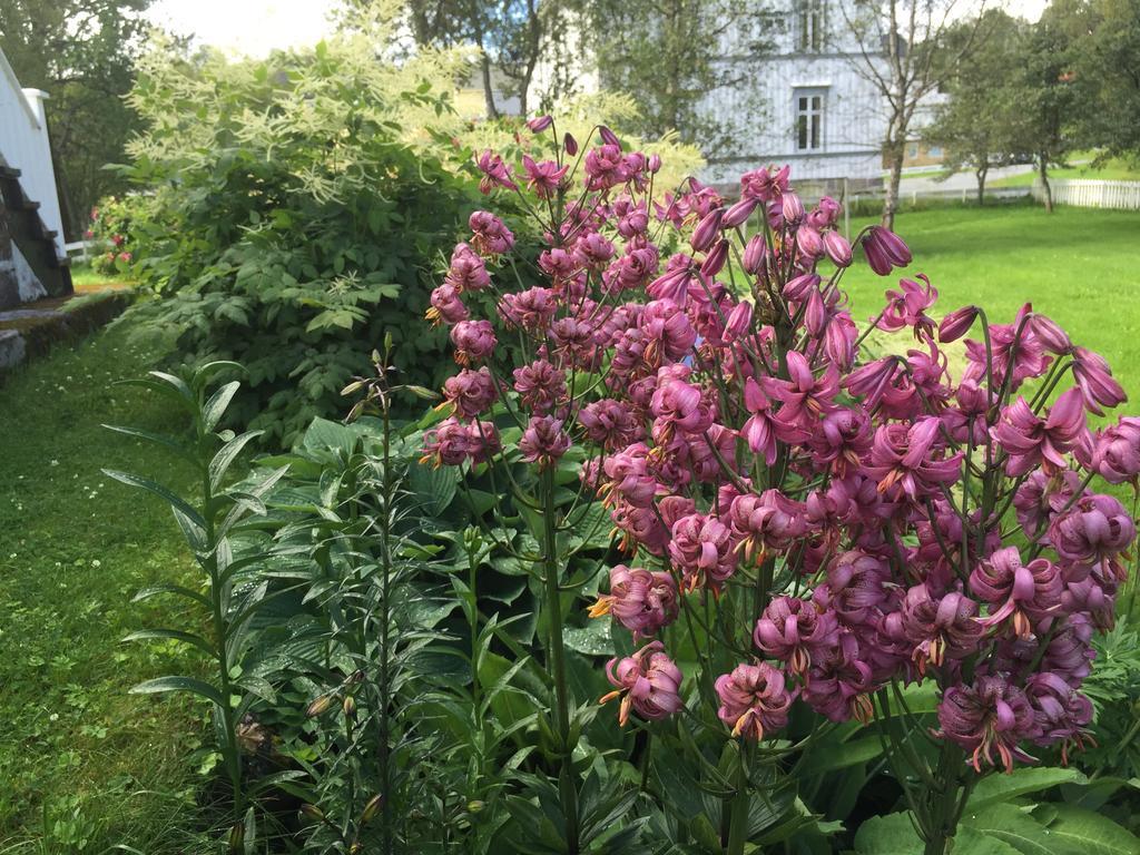 Arctic Garden Lodingen