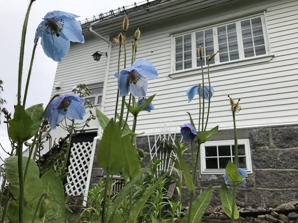 Arctic Garden Pensionat *